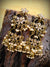 Meesha Danglers- Antique Gold Plated Dangling Jhumki Earrings for Women