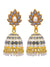 Gold-plated Grey Jhumka Earrings With White Pearls RAE1395