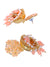 Crunchy Fashion Traditional Peach Floral Golden Jhumki Earrings RAE1688